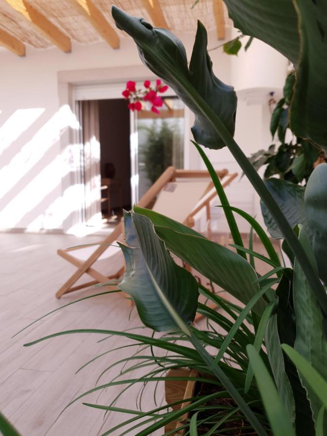 The Terrace House - Gremio Apartment Olhao
